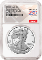 Silver eagle coin in a protective holder with NGC label