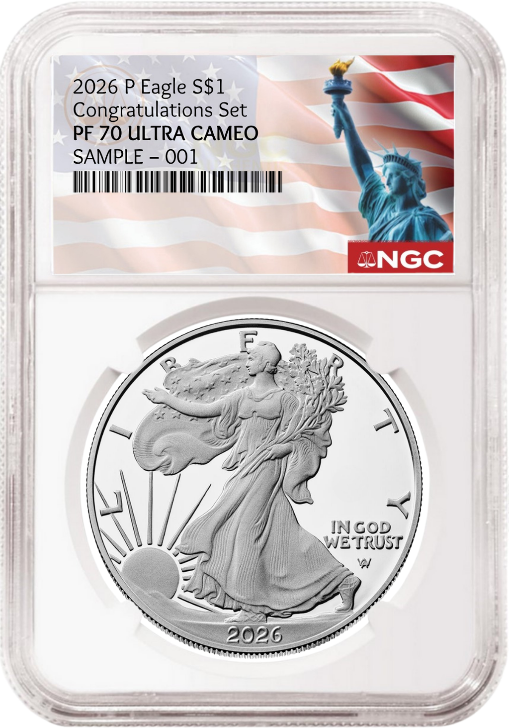 Silver coin in a protective holder with NGC label and American flag background