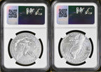 Reverse side of uncirculated Morgan and Peace silver dollars in NGC slabs