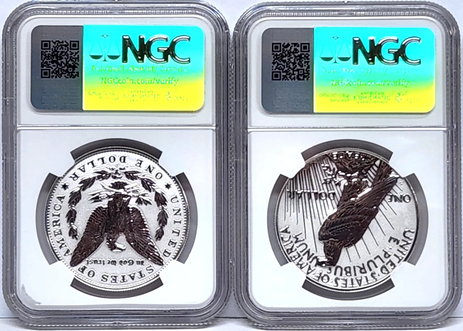 Reverse side of reverse proof Morgan and Peace silver dollars in NGC slabs